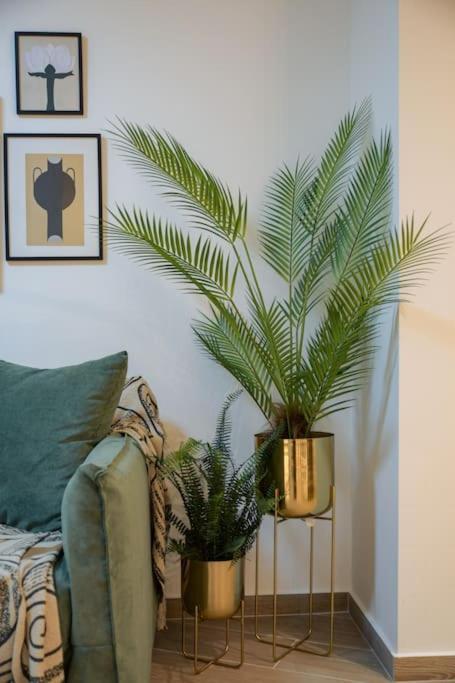Elegant Luxury suite Apartamento